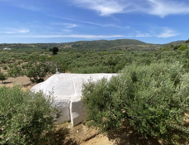 the byzantine church of Agios Panteleimon